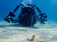 Constantinos Christou