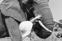 Karen Brooks - photo credit Ricci Goldstein