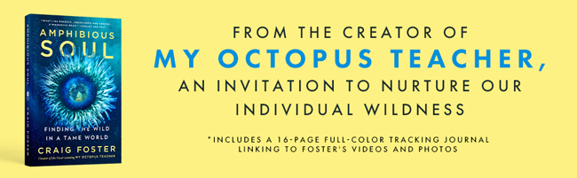 Amphibious Soul: Finding the wild in a tame worldby Craig Foster